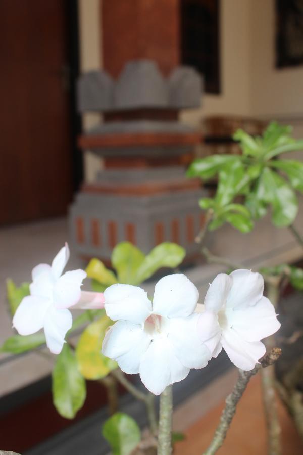 Js Guest House Seminyak  Exterior photo